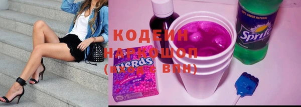 прущий лед Ельня