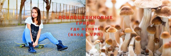 мяу мяу мука Дмитров