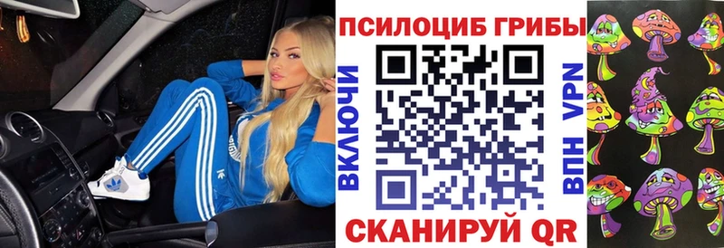гидра как зайти Сальск Галлюциногенные грибы мухоморы