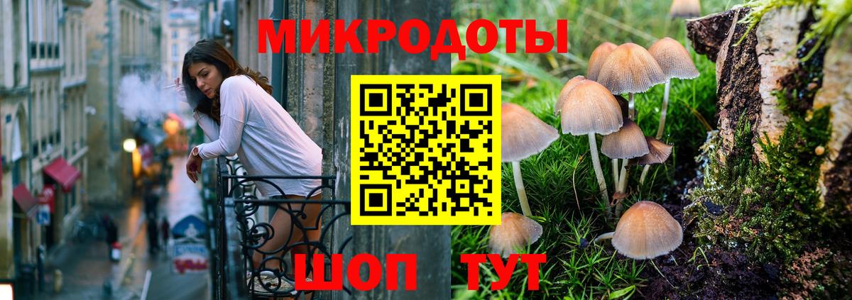 Галлюциногенные грибы Magic Shrooms  Псилоцибиновые грибы мицелий  Вход с VPN  Сальск 