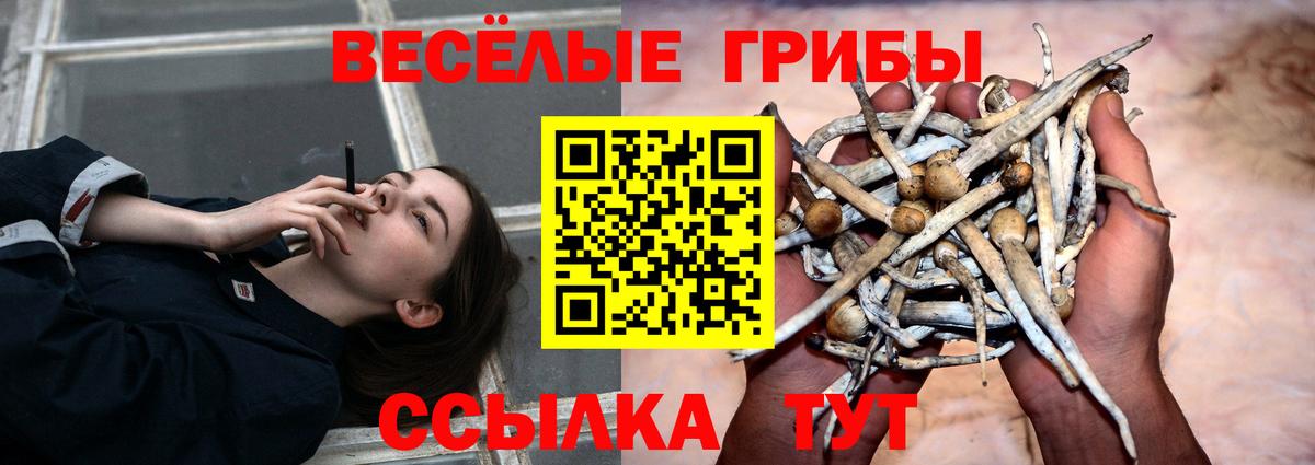 Псилоцибиновые грибы Magic Shrooms Сальск